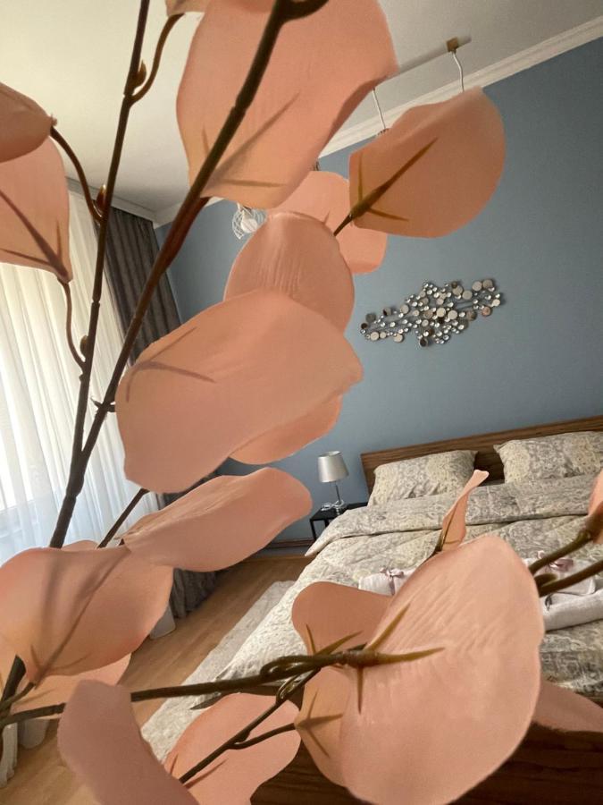 Apartman Tara 수보티차 외부 사진