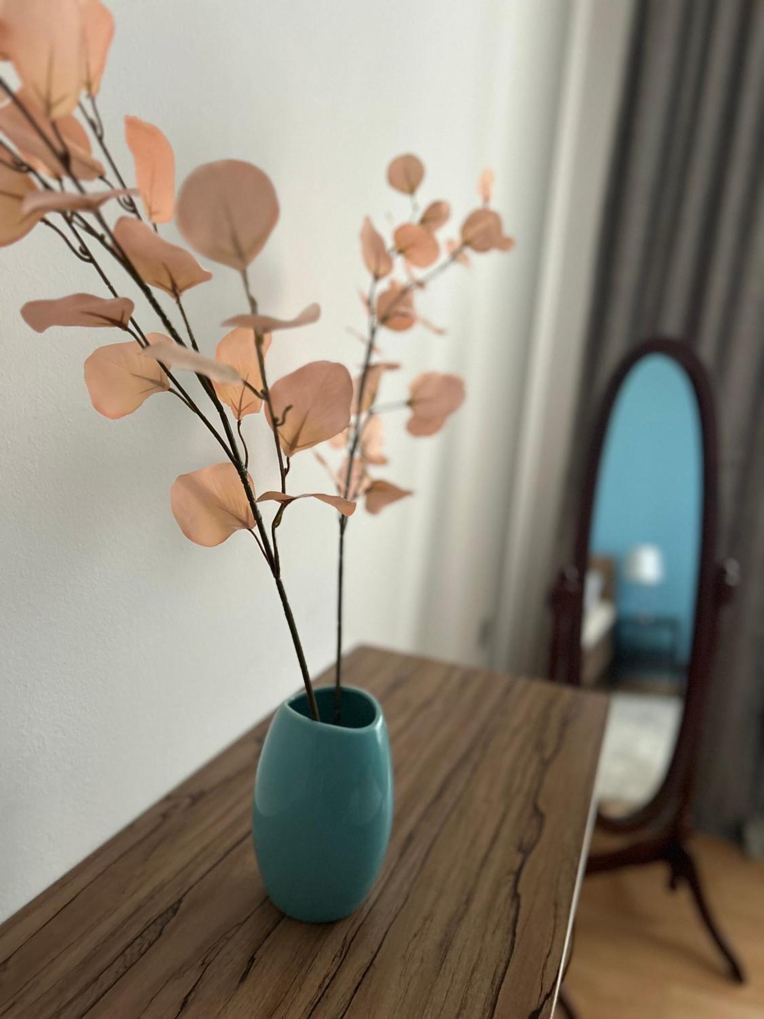 Apartman Tara 수보티차 외부 사진