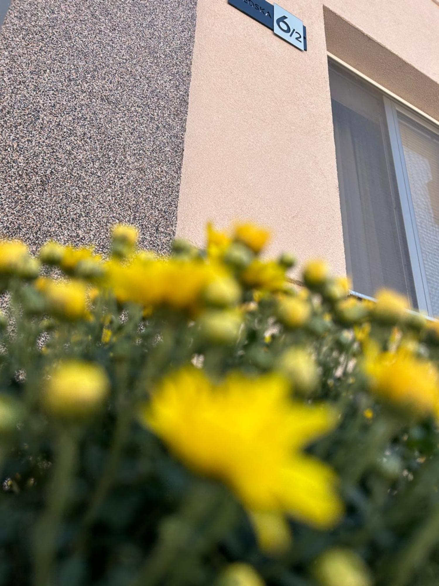 Apartman Tara 수보티차 외부 사진