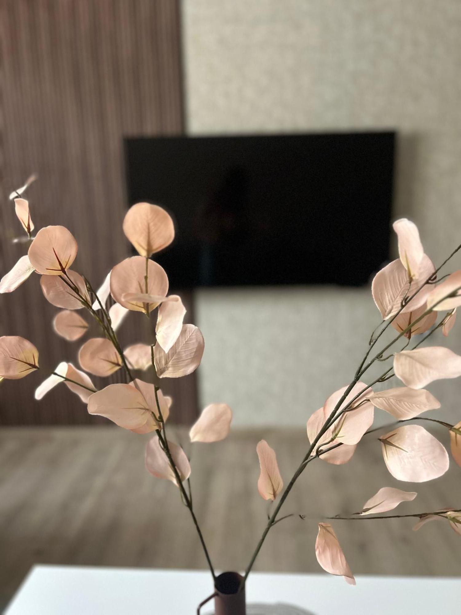 Apartman Tara 수보티차 외부 사진