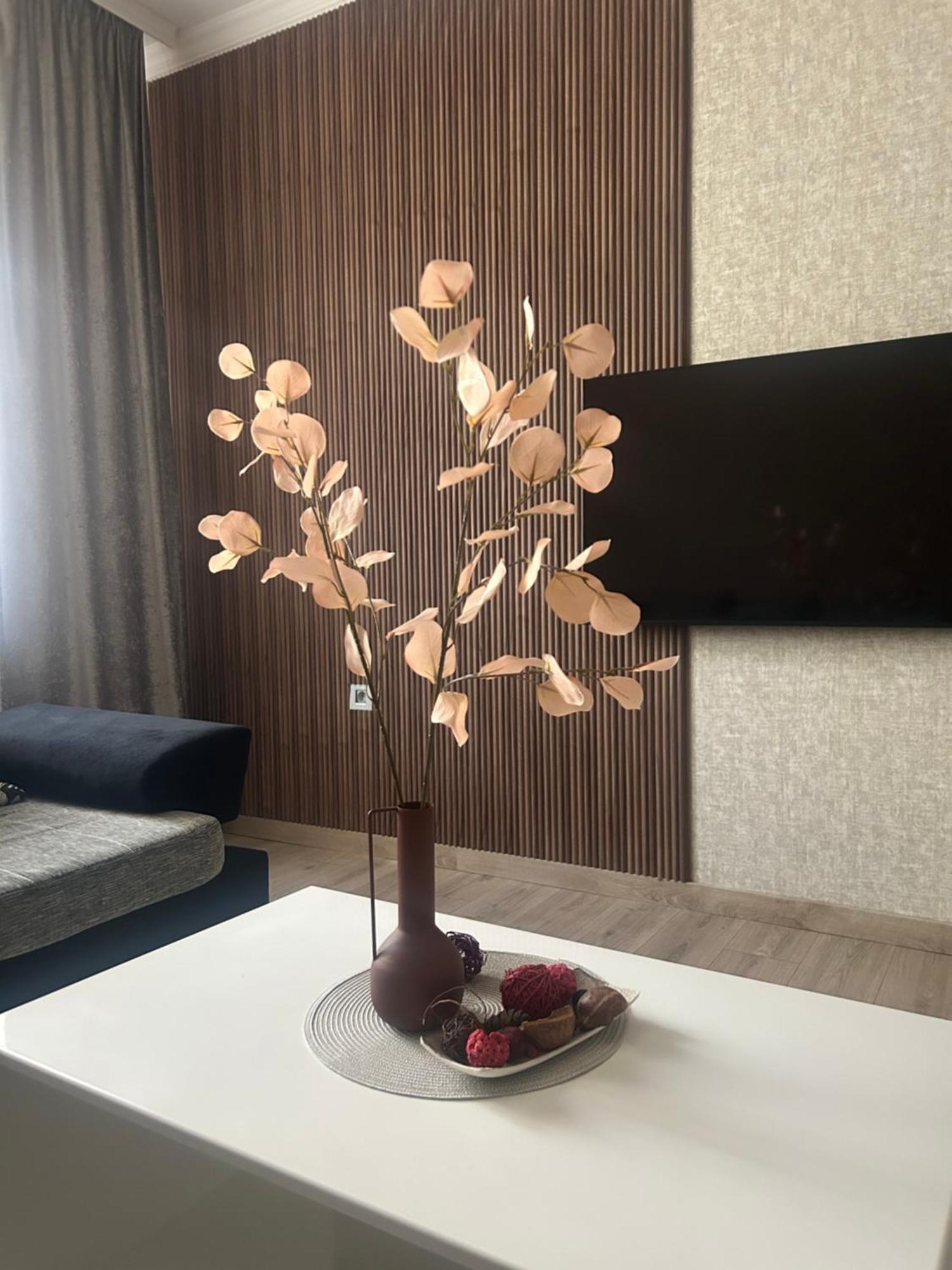 Apartman Tara 수보티차 외부 사진